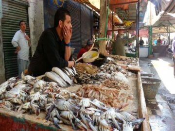 أسعار الأسماك اليوم الجمعة 13\12\2019 في سوق العبور للجملة